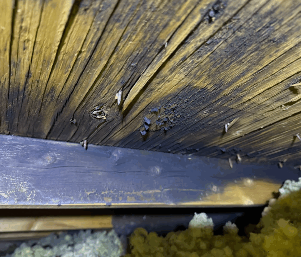 A Wood Beam with Black Mold on It